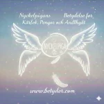 Nyckelpigans Betydelse